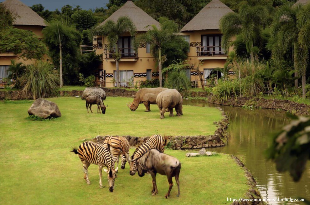 hotel unik di kawasan bali